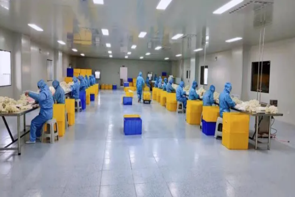 Highly Trained Production Team